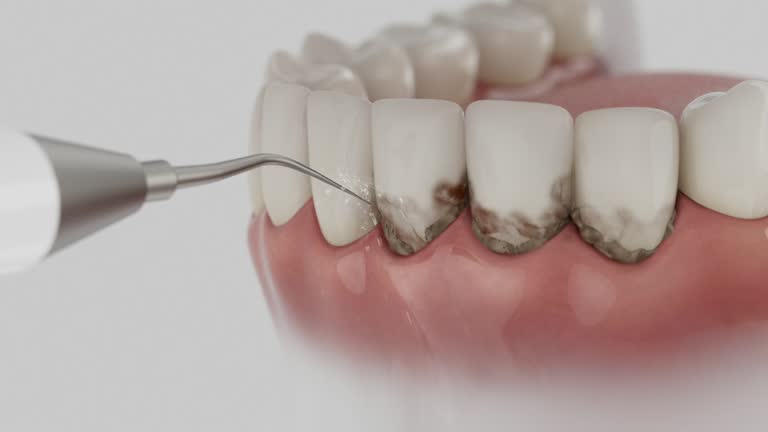 Reliable Dental contractor in Dryden, MI by Dentist Open Now